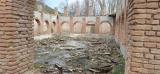 pinar_de_alhama_100_anos_2024_034