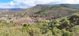 pinar_de_alhama_100_anos_2024_035