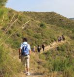 Sendero-botanico