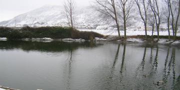 2005-nevada