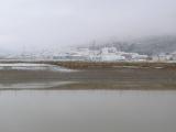 DSCN0563