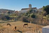 refugio_animales_v_huelma_2024_002