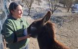 refugio_animales_v_huelma_2024_003