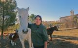 refugio_animales_v_huelma_2024_006
