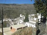 Alpujarrra 28 noviembre  2015 013