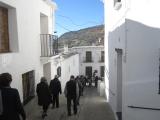Alpujarrra 28 noviembre  2015 022