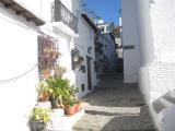 Alpujarrra 28 noviembre  2015 024