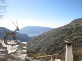 Alpujarrra 28 noviembre  2015 028
