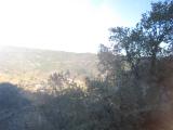 Alpujarrra 28 noviembre  2015 097