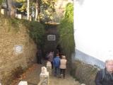 Alpujarrra 28 noviembre  2015 106
