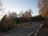 Alpujarrra 28 noviembre  2015 112
