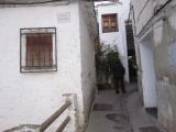 Alpujarrra 28 noviembre  2015 125