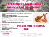 iLUSIONATE 6