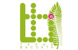 Taxus_baccata_logo
