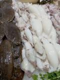 frescomar_8nov_2024_016