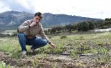 alberto_cortes_stevia_campo_mayo2021