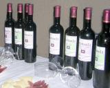 Primeros vinos embotellados en la nueva  bodega de Alhama
18/05/2006
FOTO: ANTONIO ARENAS