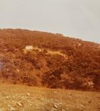 caminos_y_gentes_81_010
