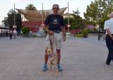 Paul Bateson y su perro Ra ta ta en el paseo del Cisne, de Alhama. 
15/08/2013
FOTO: ANTONIO ARENAS