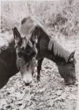 madre_tierra_23_03