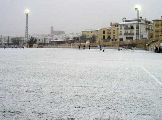  Aspecto que presentaba el campo 