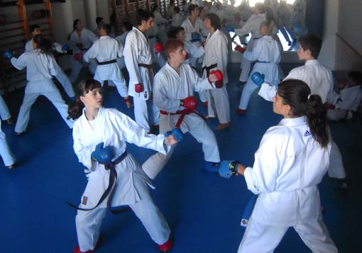 Entrenamientos y curso de goshin