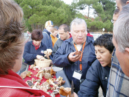 Un experto explica las caracteristicas de los ejemplares recogidos