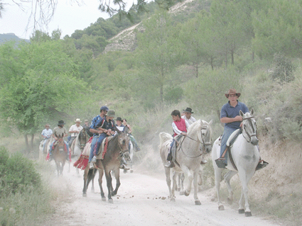 Los caballos abundan cada año más en la romería