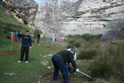 La plantación se realizó en los alrededores del Enchinar