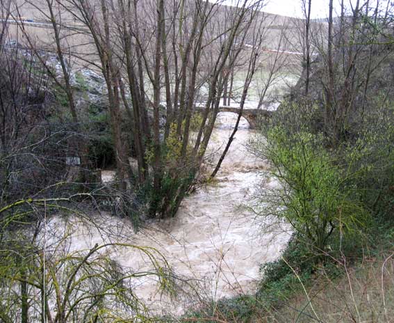  Puente romano de Alhama 