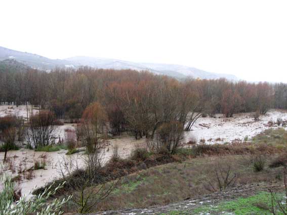  La zona del motor del río Alhama, por encima de la presa 