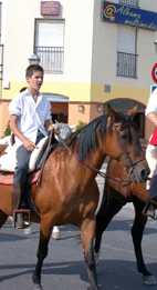 caballos03_2003.gif