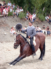 caballos04_2003.gif
