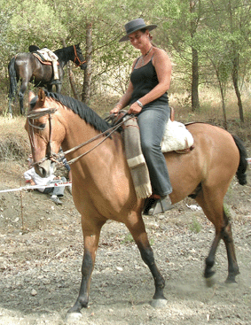 romeria2005_1508_11.gif