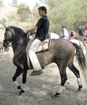 romeria2005_1508_14.gif