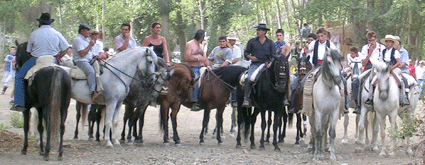 romeria2005_1508_16.gif