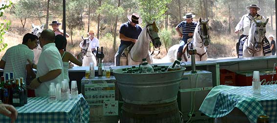 romeria_2013_109.jpg