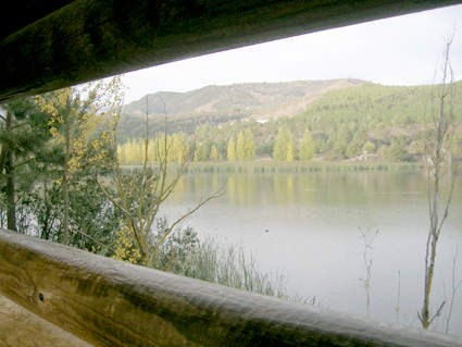 Vista desde el mirador de aves