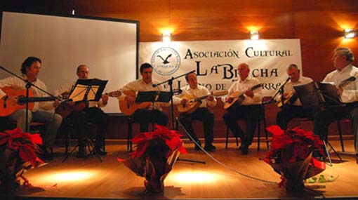 Los Amigos de la Púa volvieron a demostrar su buen hacer musical 